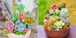 گلدان کاکتوس دکوراتیو؛ ۱۵ مدل جذاب برای زیباسازی ساده و دلنشین خانه شما